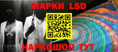 индика Лесосибирск