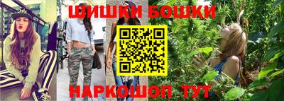 индика Лесосибирск