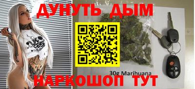индика Лесосибирск