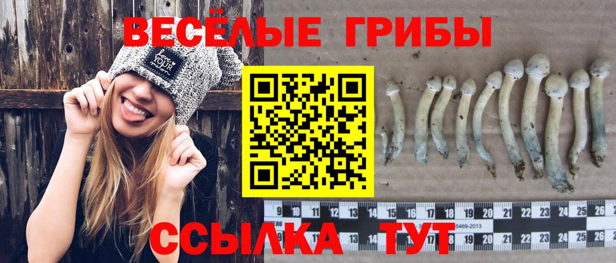 Горячий Ключ  Галлюциногенные грибы Psilocybine cubensis  Вход с VPN  Галлюциногенные грибы Psilocybine cubensis 