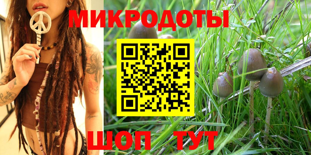 Галлюциногенные грибы прущие грибы Горячий Ключ